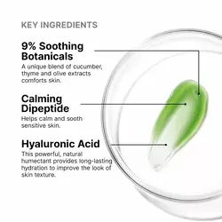 Phyto Corrective Mask