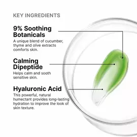 Phyto Corrective Mask