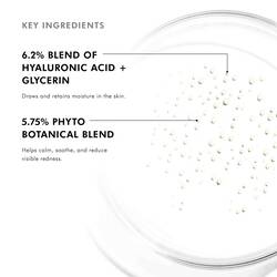 Phyto Corrective Essence Mist