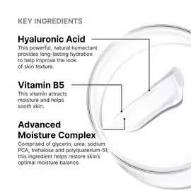 Hydrating B5 Mask