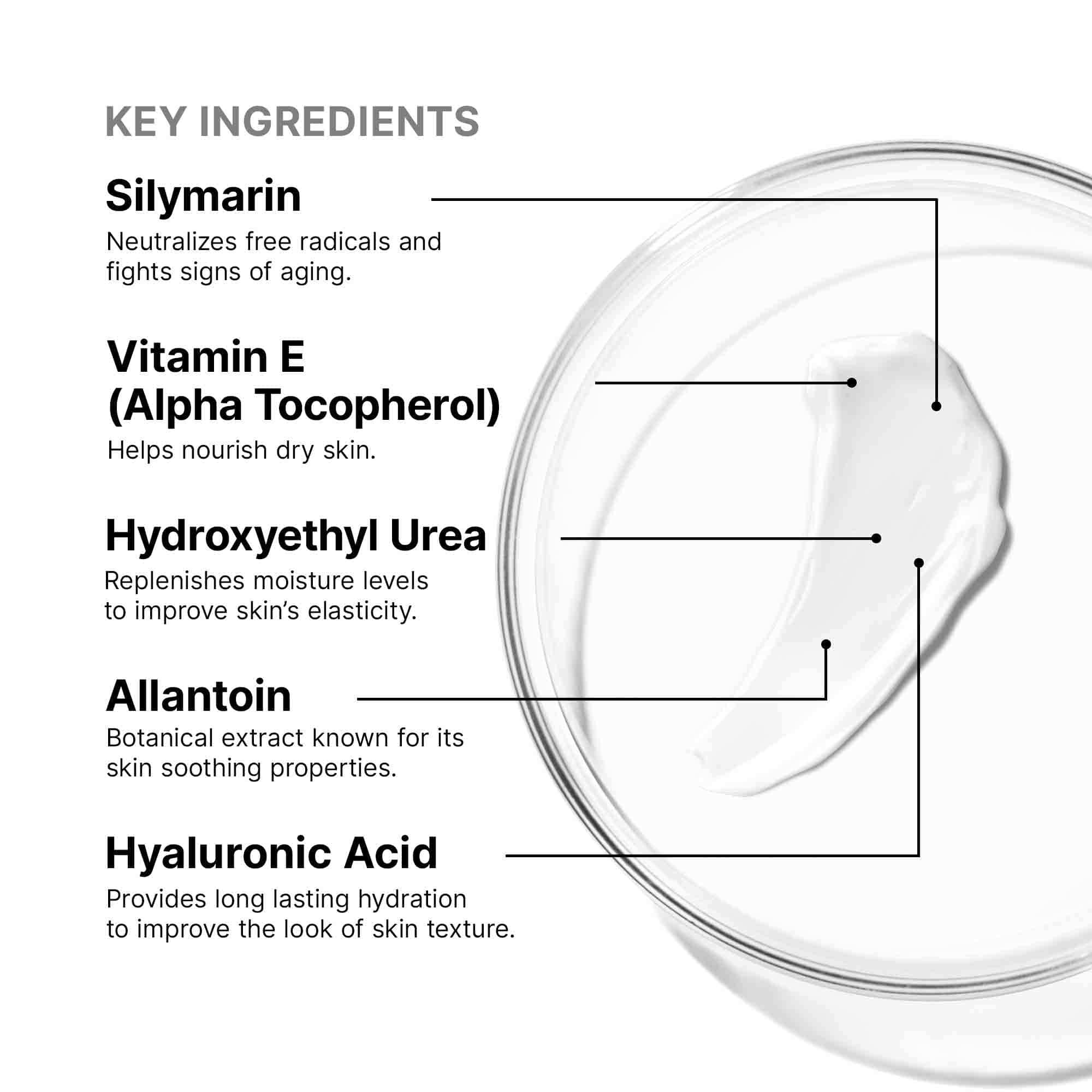 Antioxidant Lip Repair