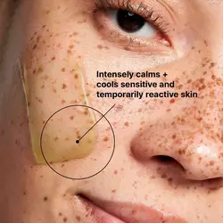 Phyto Corrective Mask