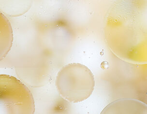 Phloretin CF® With Ferulic Acid | Discoloration Defense