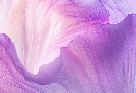 Gentiana Lutea Extract