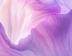 Gentiana Lutea Extract