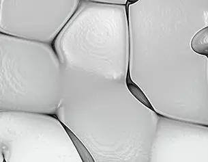 Paraben Free