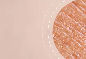 Anti-Aging Creams SkinCeuticals
