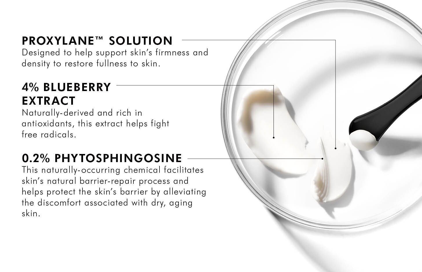KEY INGREDIENTS 