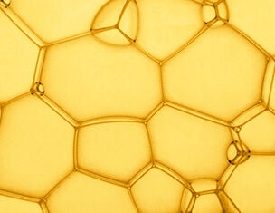 Phloretin CF® With Ferulic Acid | Discoloration Defense