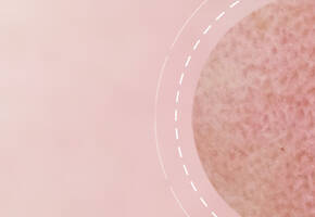 Anti-Aging Creams SkinCeuticals