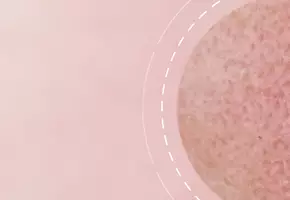 Anti-Aging Creams SkinCeuticals