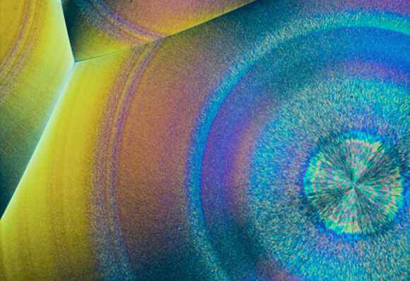 Ингредиенты