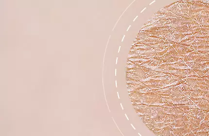 Anti-Aging Creams SkinCeuticals